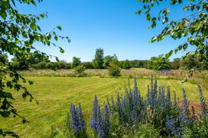 Lawned Garden & Grassed Meadow Area- click for photo gallery